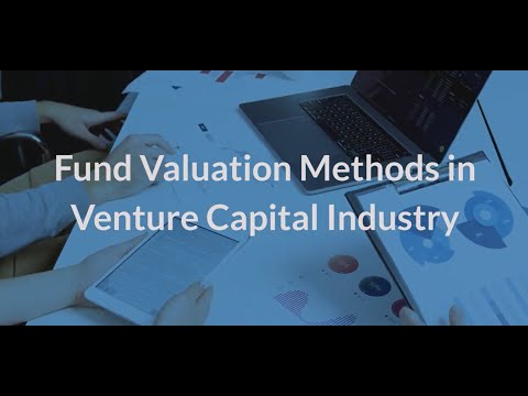 Fund Valuation Methods in Venture Capital Industry | Eqvista [Video]