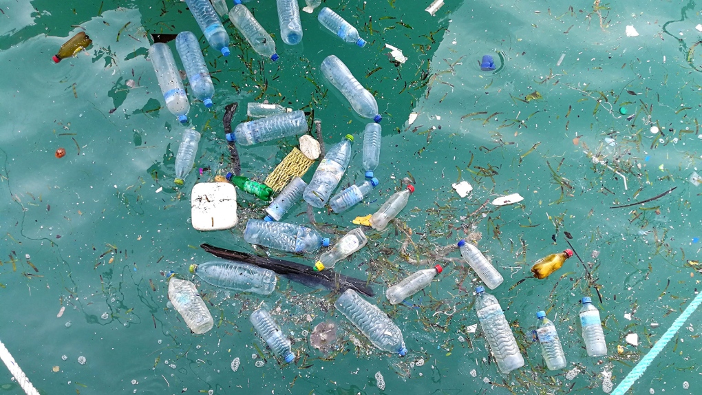 Plastic pollution: UN summit calling to end plastic pollution coming to Ottawa this week [Video]