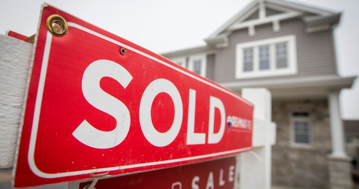 More than half of Canadians say 2nd job needed to buy a home: RBC survey [Video]