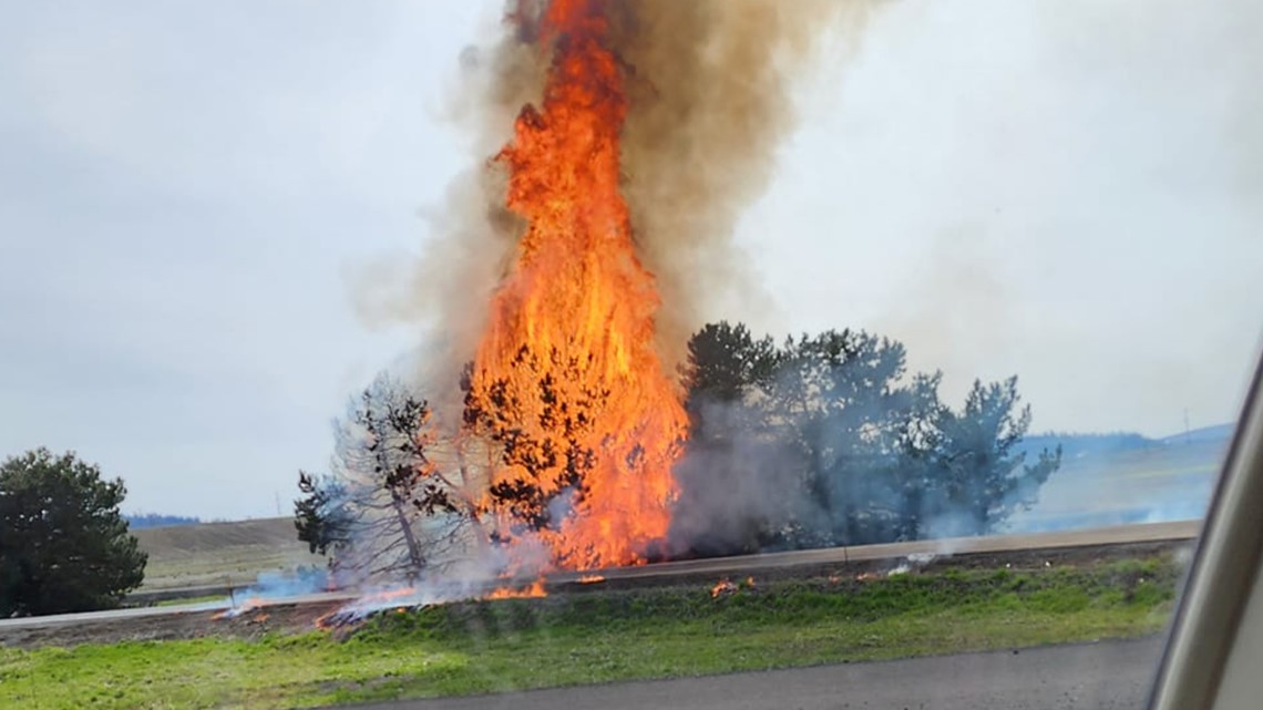 I-90 brush fire not a fluke, fire officials say early spring fires are common [Video]