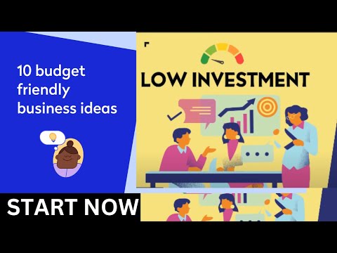 10 Small Business Ideas to Start a Business with Low Investment in 2024 (Less than 500$) [Video]