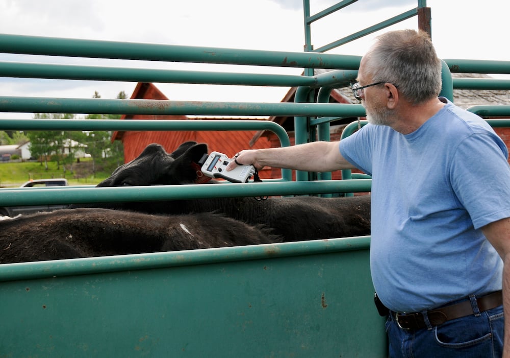 Growing data for cow-calf producers [Video]