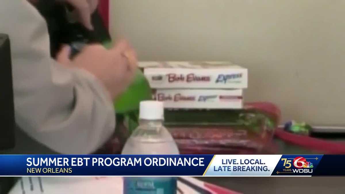 Summer EBT ordinance passed by NOLA City Council to fill the gap for kids in need [Video]
