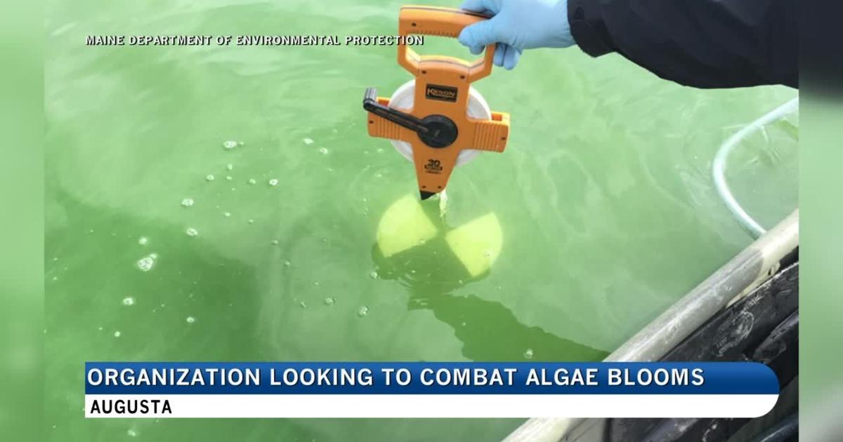 Organization looking to reduce algae blooms in Togus Pond | Local News [Video]
