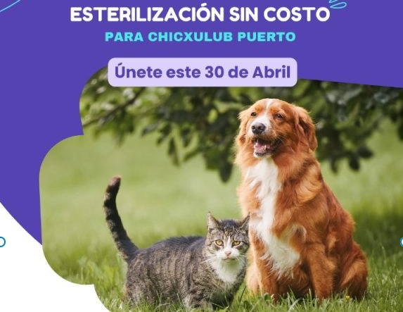 Free Canine and Feline Sterilization Day in Chicxulub Puerto on April 30 [Video]