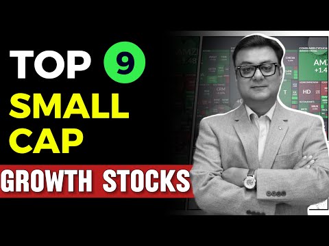 Top 9 Small-Cap Growth Stocks  | best multibagger shares 2024 | Raghav Value Investing [Video]