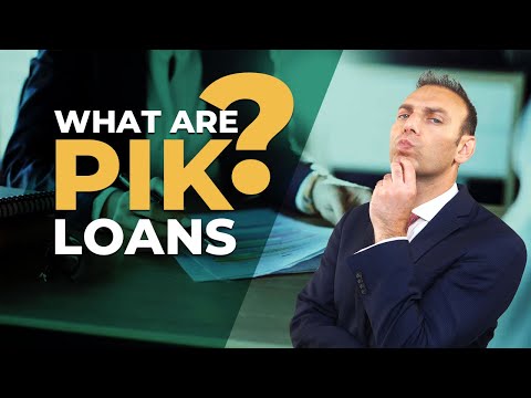 PIK Loans In Private Equity [Video]