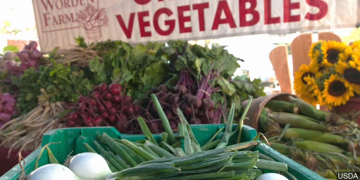 Anderson County seniors to receive vouchers for local farmer markets [Video]