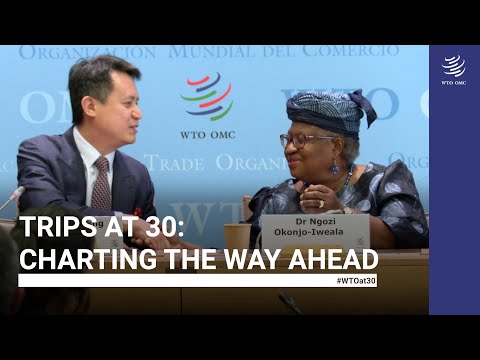 TRIPS at 30: Charting the way ahead [Video]