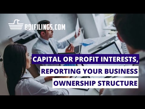 Capital Or Profit Interests, Reporting Your Business Ownership Structure. [Video]