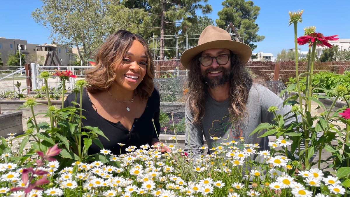 Check out a farmers ultimate spring gardening guide  NBC Los Angeles [Video]