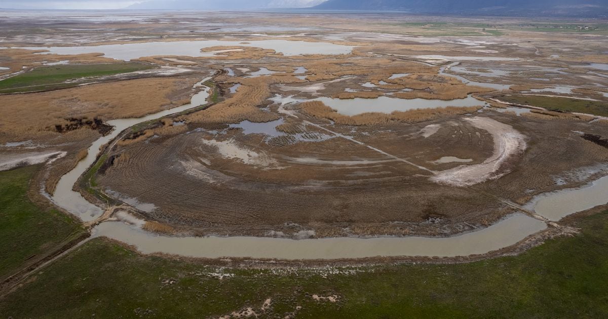 Great Salt Lake wetlands endangered by inland port project, environmentalists say [Video]