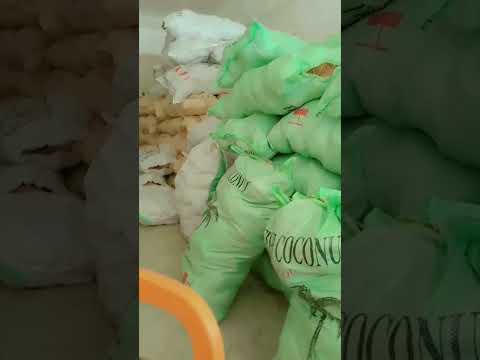 Whole sale coconuts in pakistan [Video]