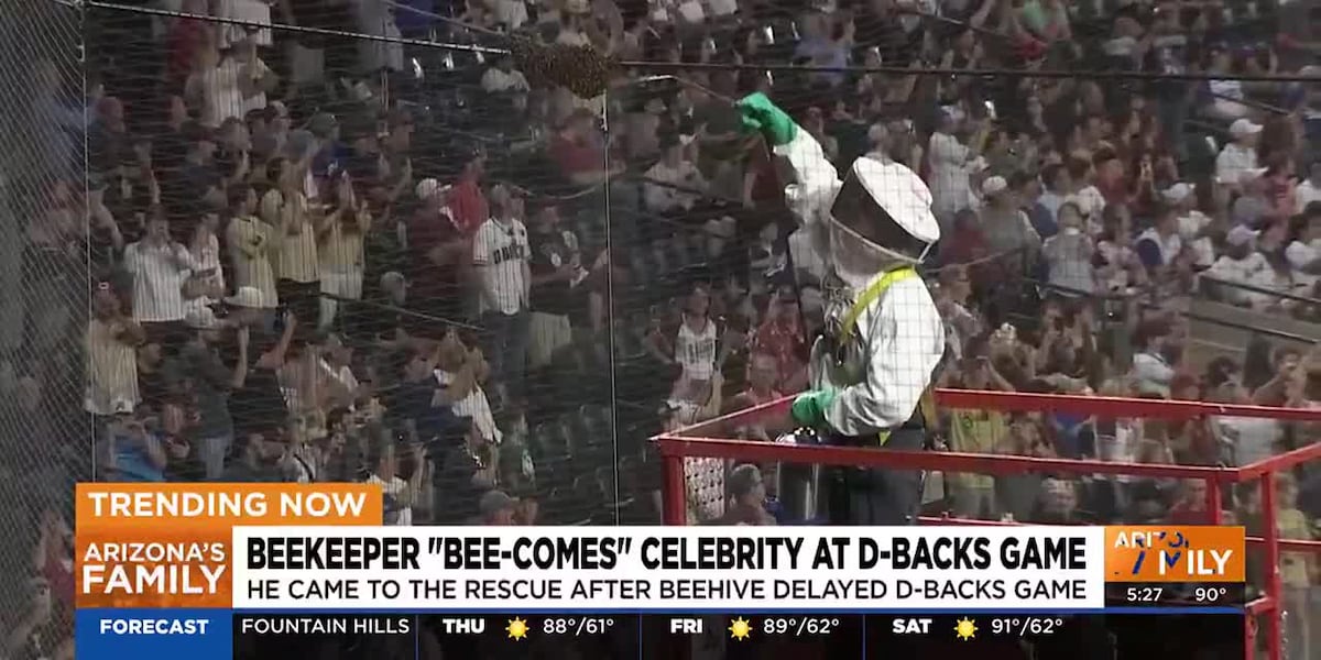 Everybody’s buzzing about the beekeeper who cleared away swarm of bees at D-Backs game [Video]