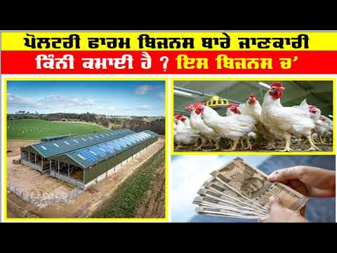 poultry farm business plan,poultry farming,poultry farm business,poultry farming business plan [Video]