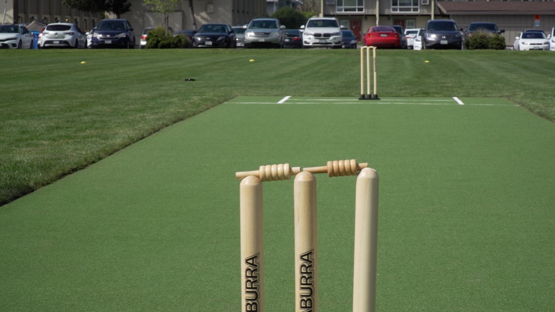 Manteca cricket pitch vandalized with dog waste [Video]