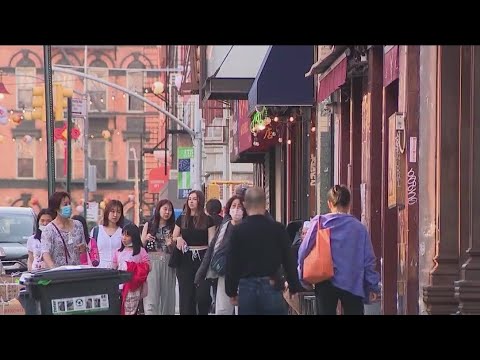 Chinatown small businesses fear economic hit from congestion pricing [Video]
