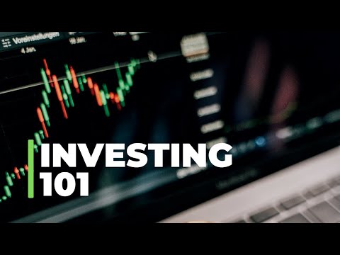 Investing 101 a Beginners Buide to Stock Market Investing [Video]