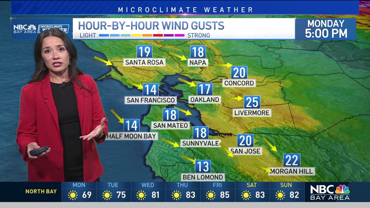 Breezy start to the week  NBC Bay Area [Video]