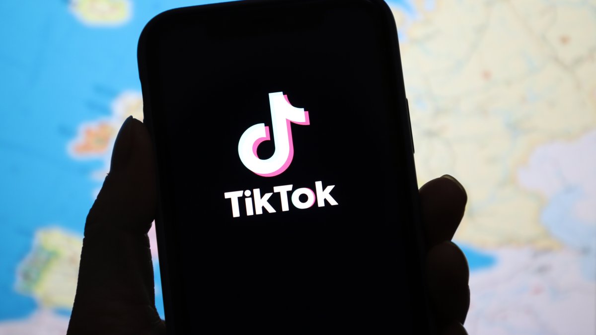 TikTok sues US government to block potential ban of app  NBC Chicago [Video]