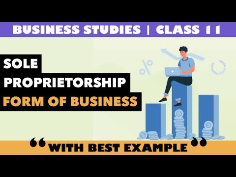 Sole Proprietorship | Business Studies | Class 11 | Explainer [Video]
