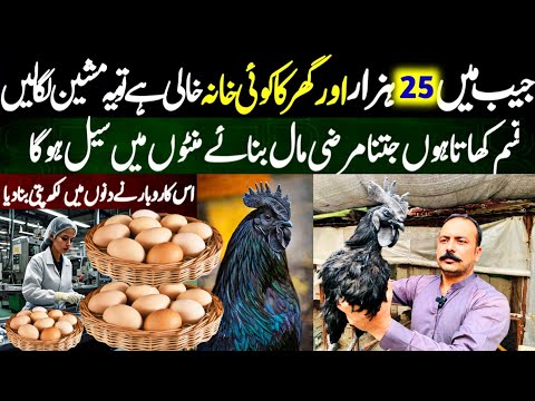 New business ideas in pakistan | Low investment business ideas in pakistan 2024 | Ayam Cemani [Video]