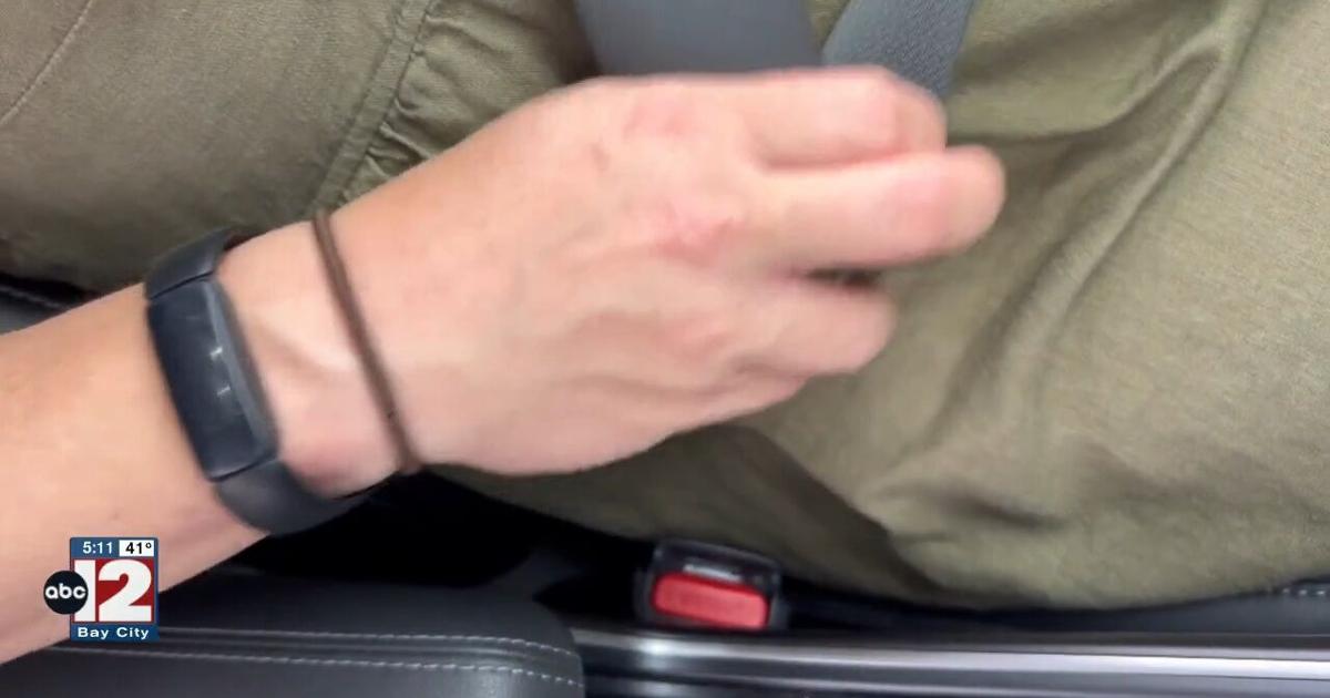 Michigan’s ‘Click It or Ticket’ seat belt enforcement starts May 20 | State [Video]
