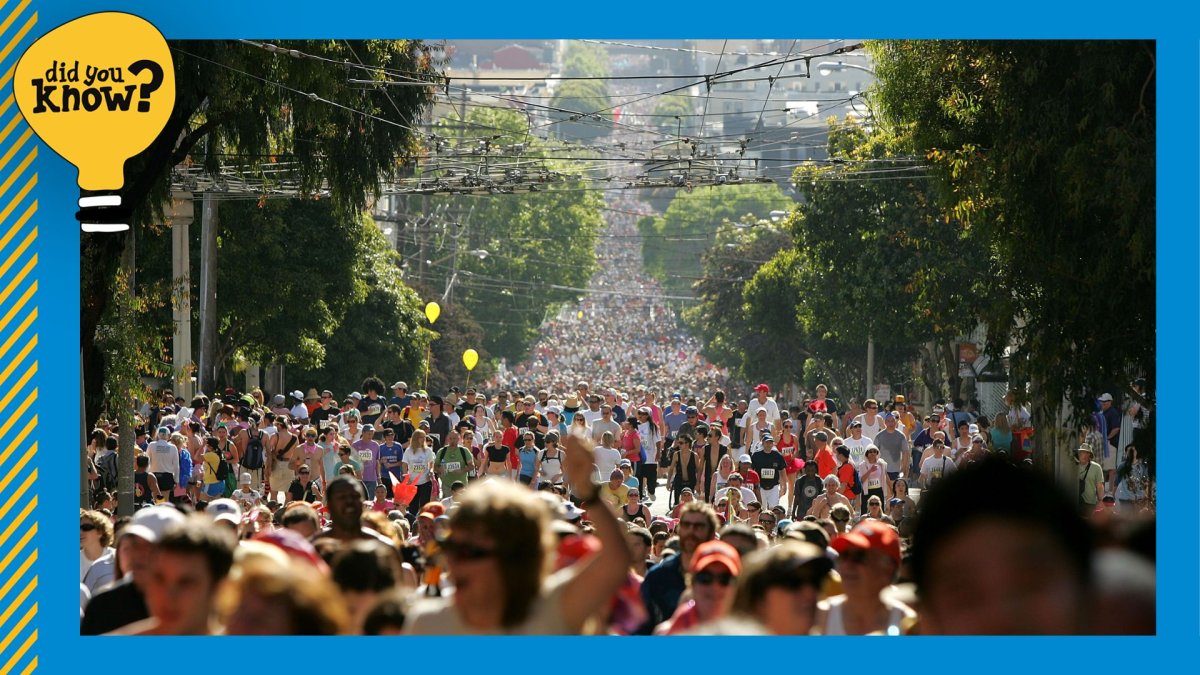 Did You Know? Bay to Breakers started more than a century ago  NBC Bay Area [Video]