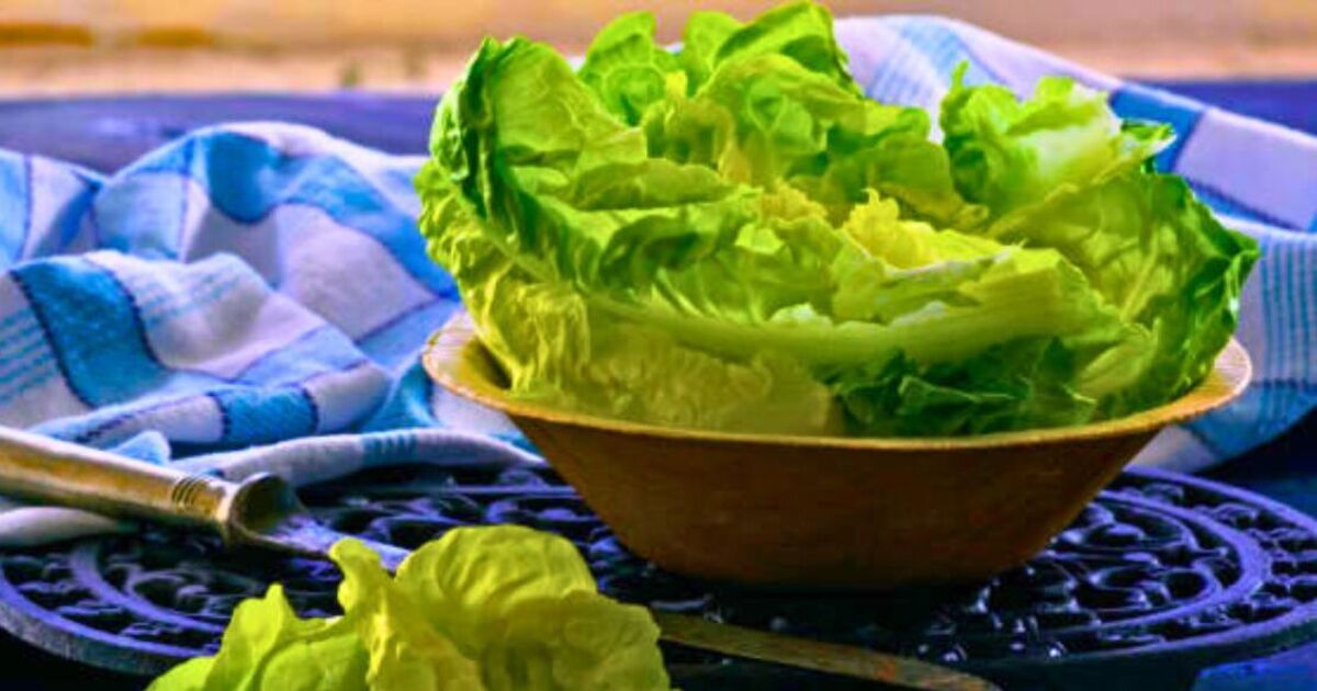 Keep lettuce crisp and fresh for one month longer with easy food storage hack [Video]