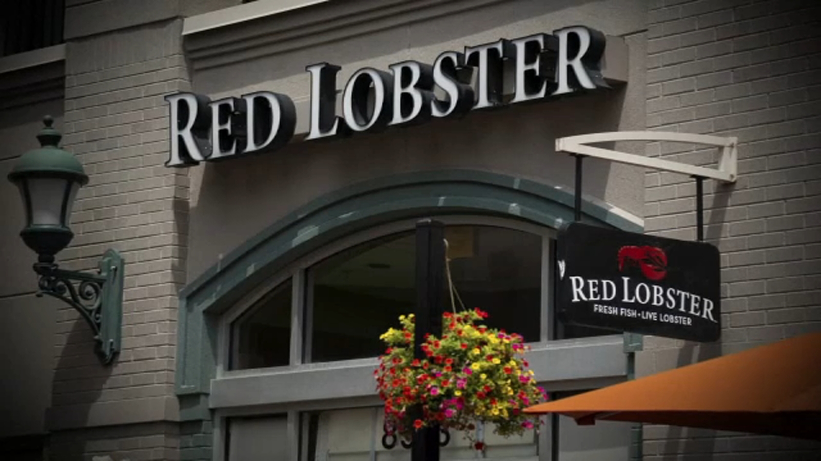 Who owns Red Lobster restaurants? What’s next for the largest seafood restaurant chain in the world after filing for bankrutcy [Video]