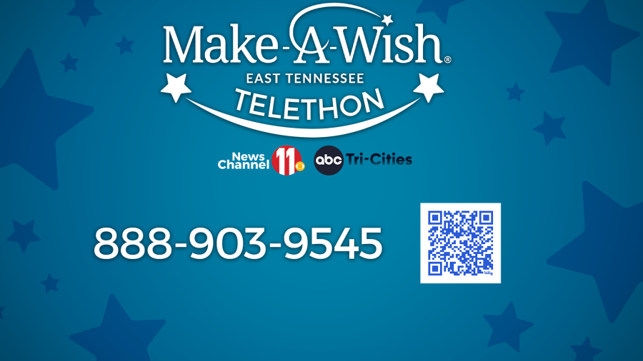 Help News Channel 11 & WATE raise money for Make-A-Wish East Tennessee [Video]