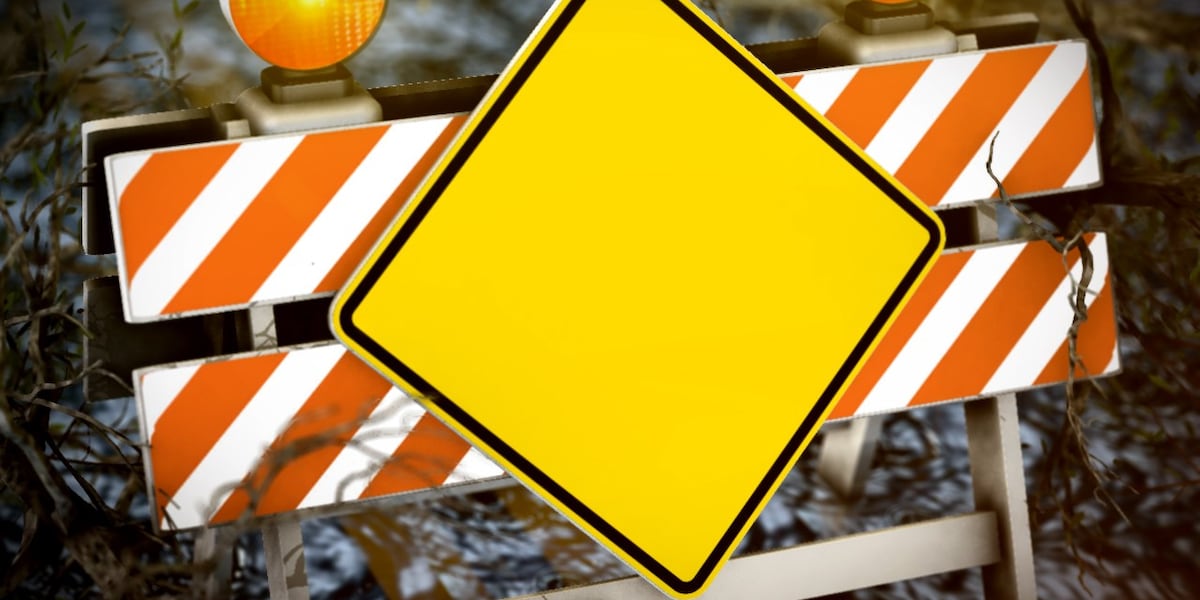 Shoulder, lane and road closures coming to Berkeley Co. for storm cleanup [Video]