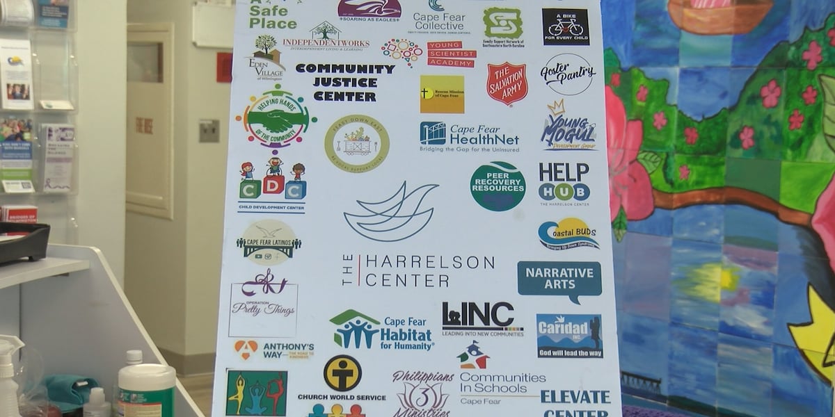 Some nonprofits in New Hanover County to see nearly 35% decrease in funding [Video]