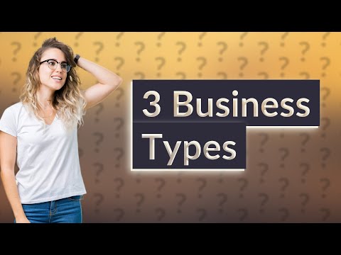 What are 3 types of business? [Video]