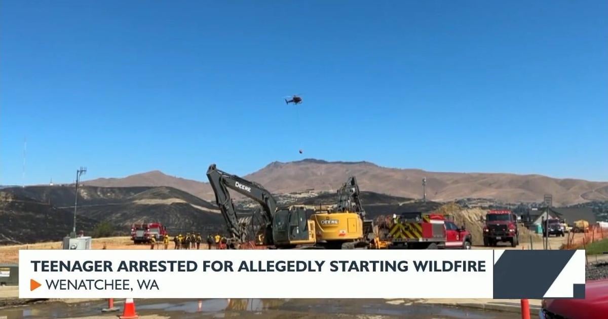Teenager arrested for allegedly starting wildfire | Video