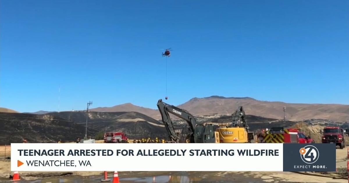 Teenager arrested for allegedly starting a wildfire | Video