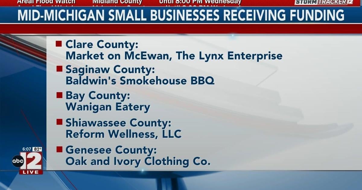 Michigan Economic Development Corporation is giving many small businesses across Michigan funding | Video