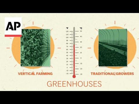 The ‘greenhouse effect’: How an oft-touted climate solution threatens agricultural workers [Video]