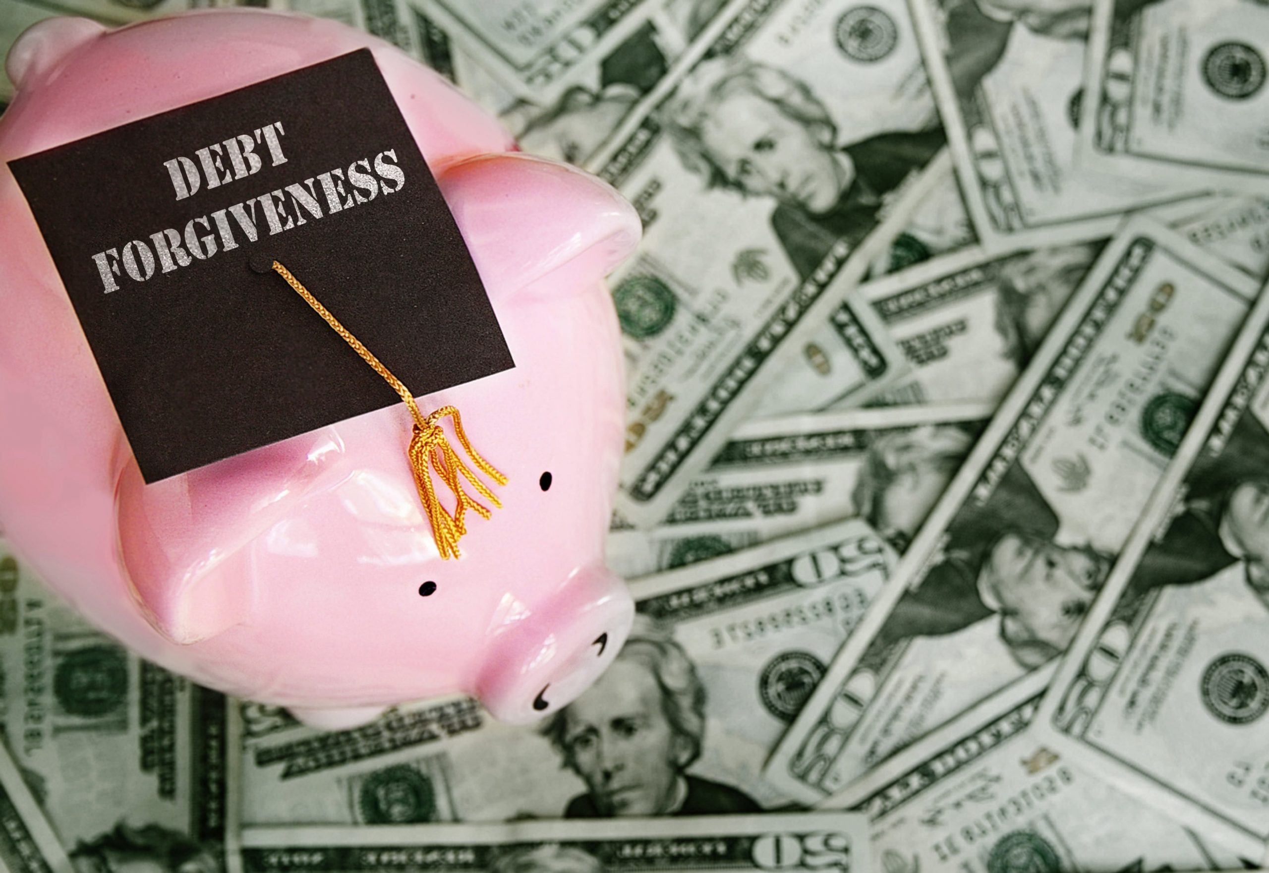 Has your student loan been forgiven? Use it to build wealth [Video]