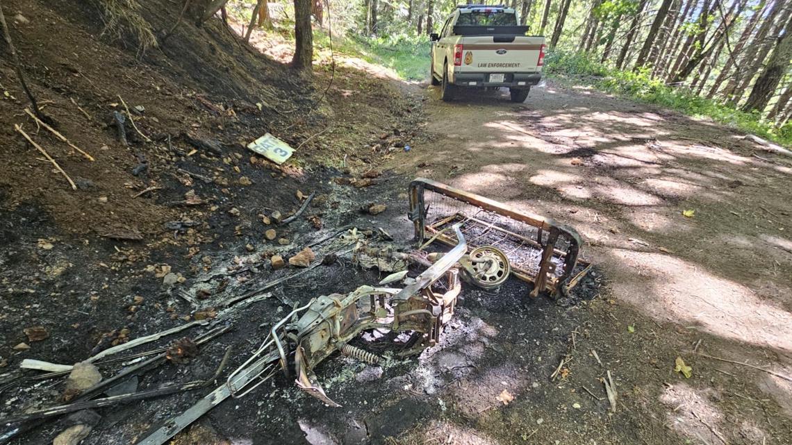 Man arrested for starting small wildfire in Lane County [Video]