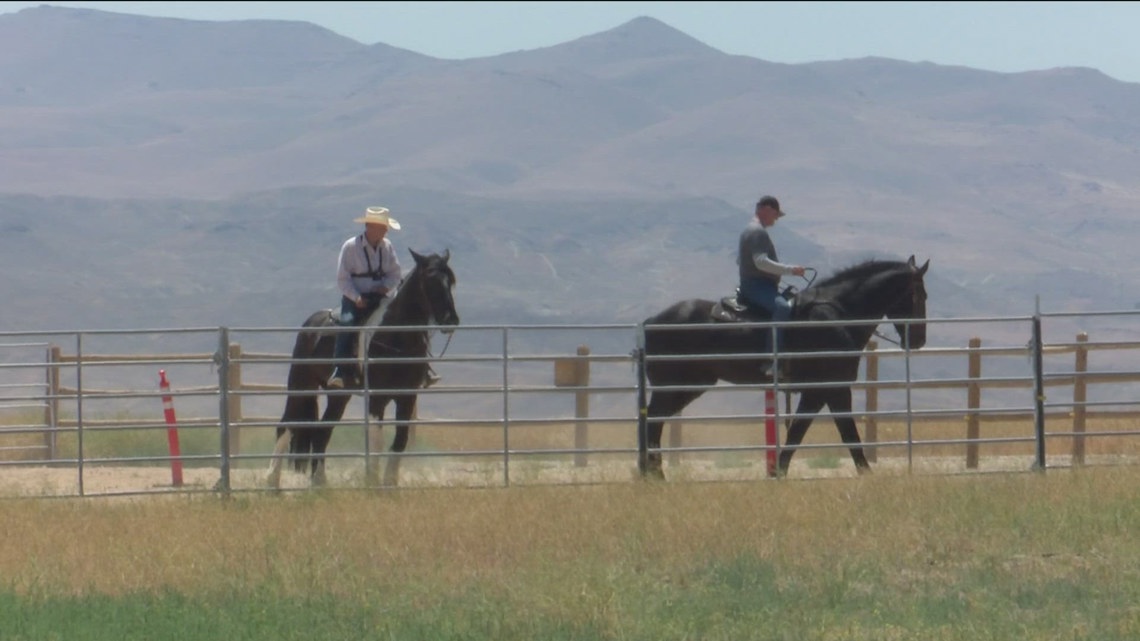 Caldwell Police saddles up for safety with 2 new draft horses starting patrol [Video]