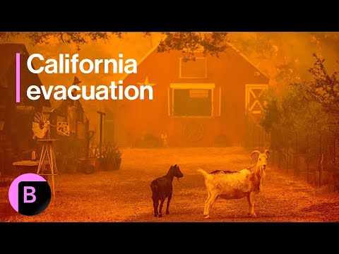 Wildfire in California Forces Evacuation, Newsom Declares Emergency [Video]