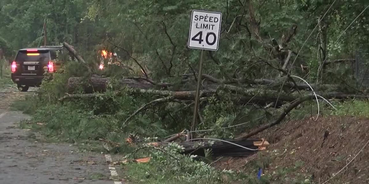 Beryl battered Gulf Coast broils in high temps, power outages [Video]