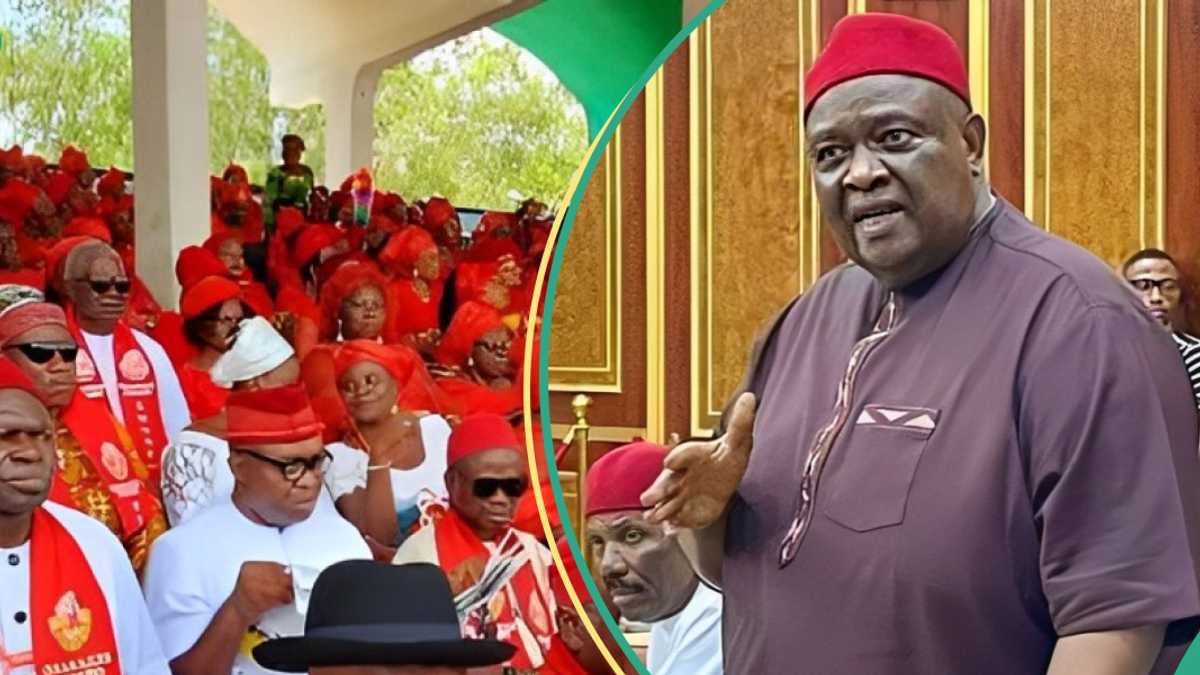 Ohanaeze Revokes Protest in S/East, Sends Crucial Message to Igbos in North, West [Video]