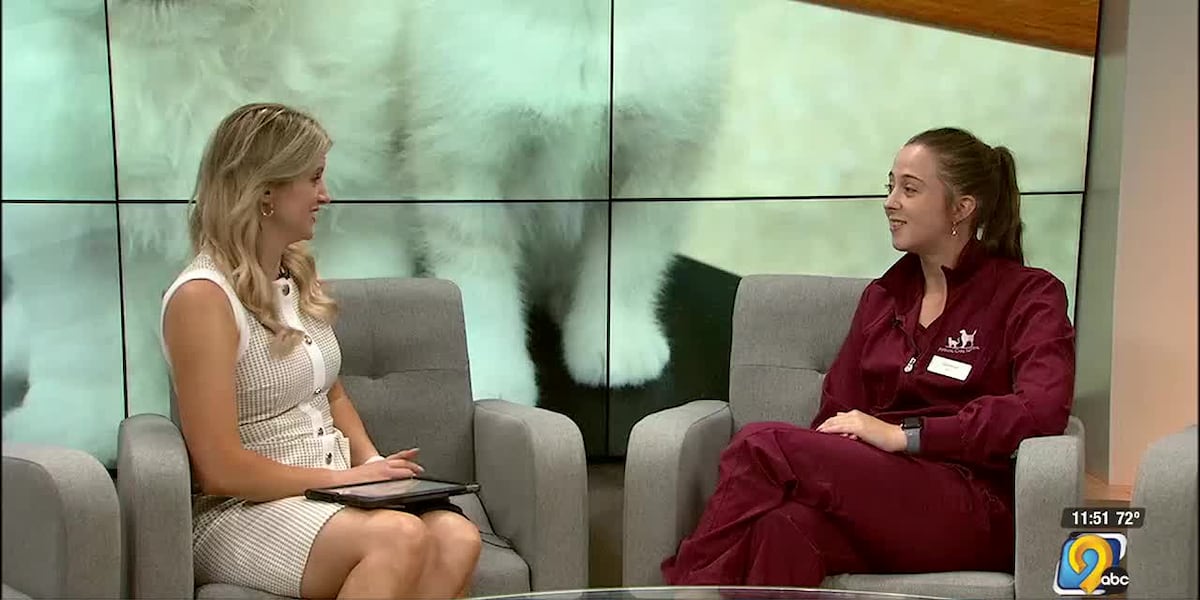 Household items to watch out for that could be dangerous for your pets [Video]