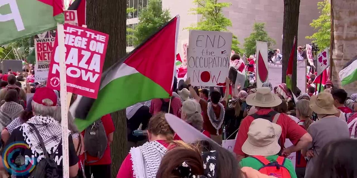 Protestors Take to Streets of DC to Speak Out against Israeli PM Netanyahu [Video]