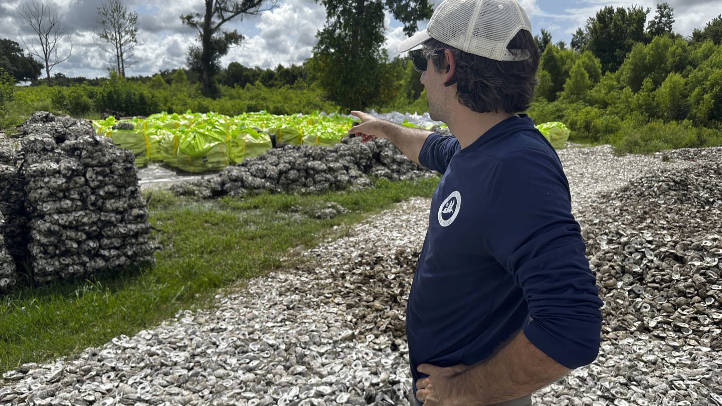 AmeriCorps CEO gets a look at a volunteer-heavy project to rebuild Louisiana’s vulnerable coast.  WSOC TV [Video]