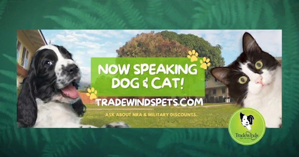 Traveling? Tradewinds Pet Suites will care for your feather and/or fur babies! | Video