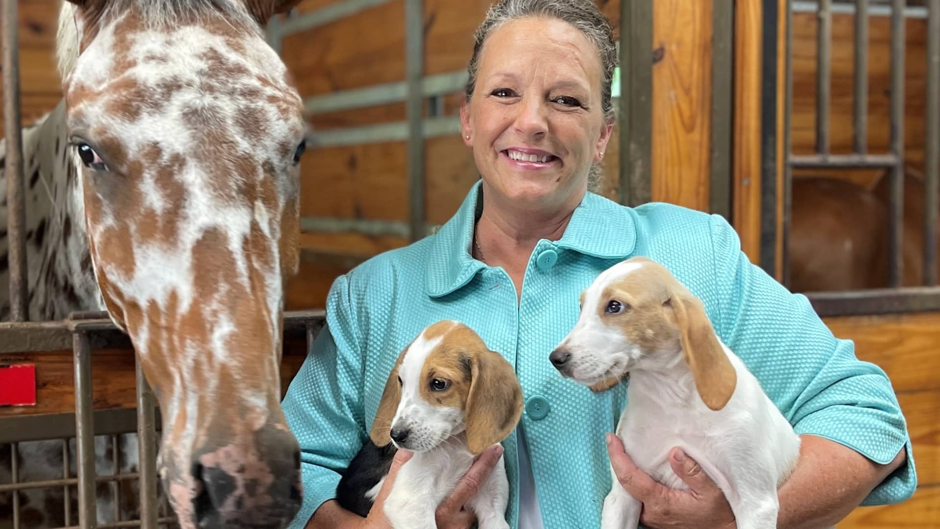 Renting out land as private dog park on Sniffspot [Video]