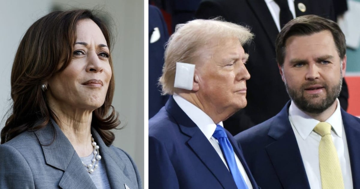 Stunning that Trump campaign didnt have their act together as Harris picks up steam: analyst [Video]